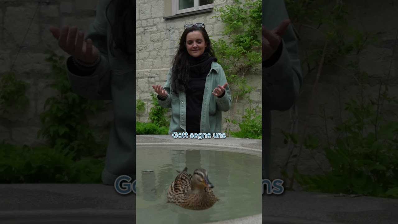 Und plötzlich war da diese Ente! Segen To Go mit Jenni