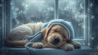 🐶 Fluffy Puppy Lullaby | 12 Hours Relaxing Sleep Music Live Stream screenshot 5