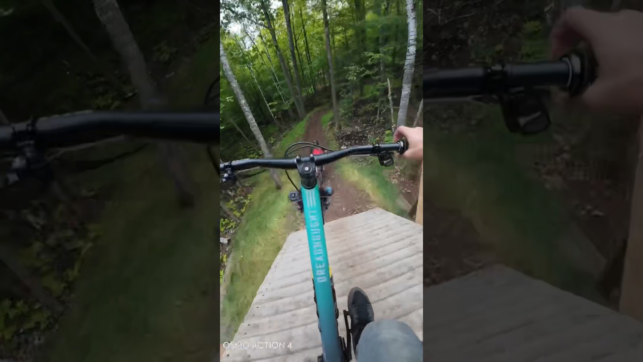 Wildcat at spirit mountain 