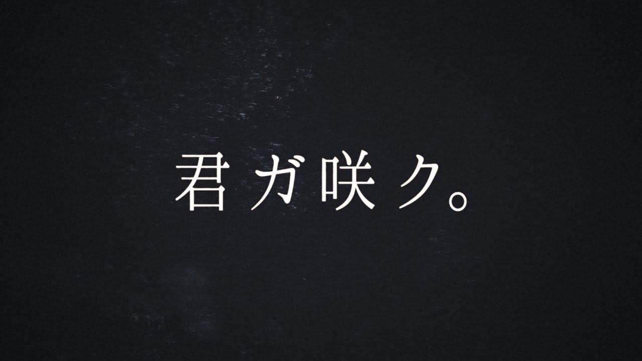 【君ガ咲ク。】櫻坂46 新メンバーオーディション ティザー映像