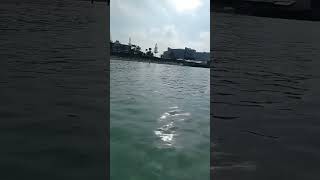 Berenang Yukk Sayang