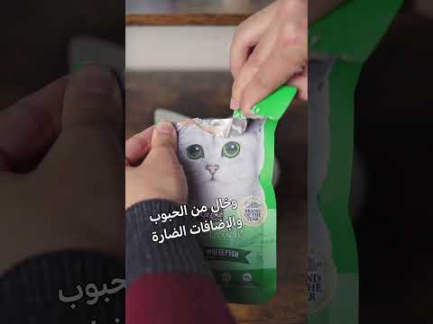 كت كات   طعام قطط رطب بنكهة التونة والسمك الأبيض في الجيلاتين