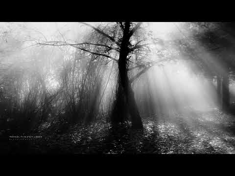 Michael FK & Andy Leech - Bleeding Heart