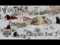 Yellowstone's Wolves in Winter - Spend 2 Days with the Wapiti Pack, Chapter 2 of 2 - December 2019