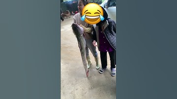 Cá quất siêu to khổ lồ  😂