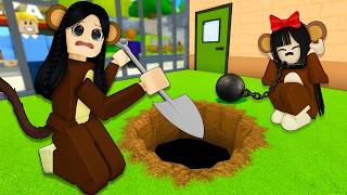 ¡CAVAMOS UN TÚNEL PARA ESCAPAR DEL ZOOLÓGICO! 🐵⛏️ Roblox