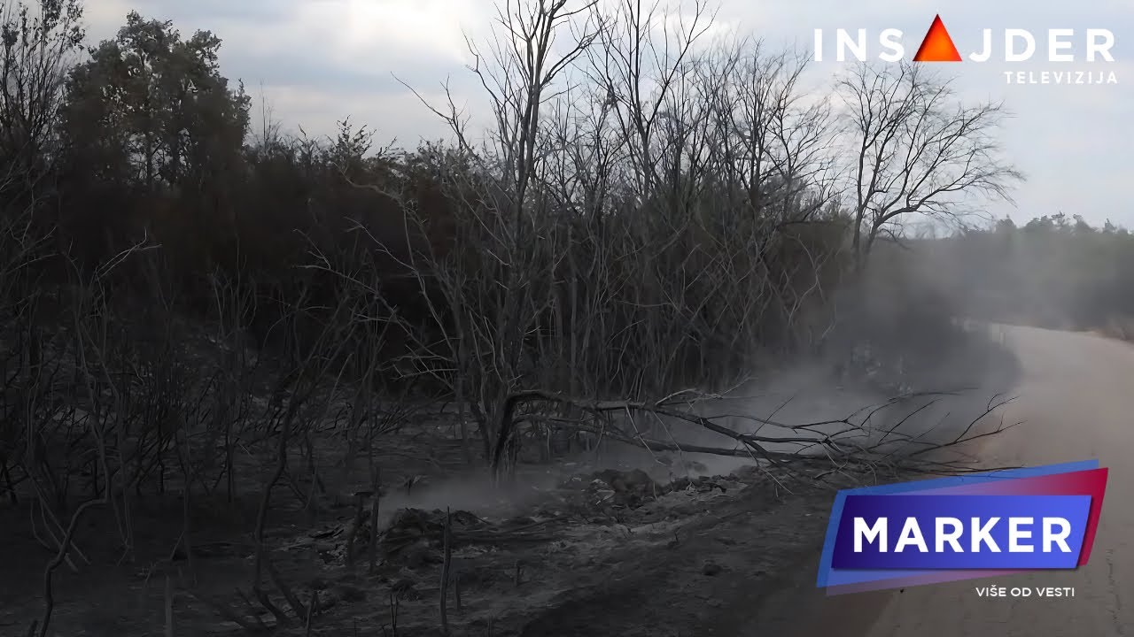 Požari širom Srbijom: Selo Dubovo izgubilo 20 kuća, u nekoliko opština proglašena vanredna situacija