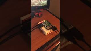 CS219 InsultGenerator Proj1