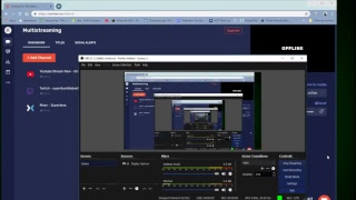 Super Bumblebee Live Stream
