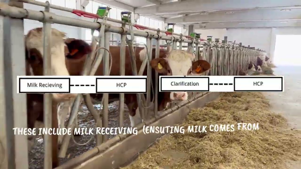 NE41002 HALAL FOOD PRODUCTION HALAL ASSURANCE SYSTEM DOCUMENTS DEVELOPMENT VIDEO