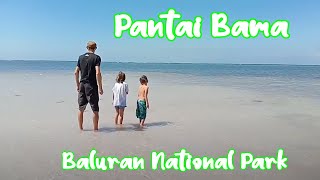 Baluran National Park Adventure!