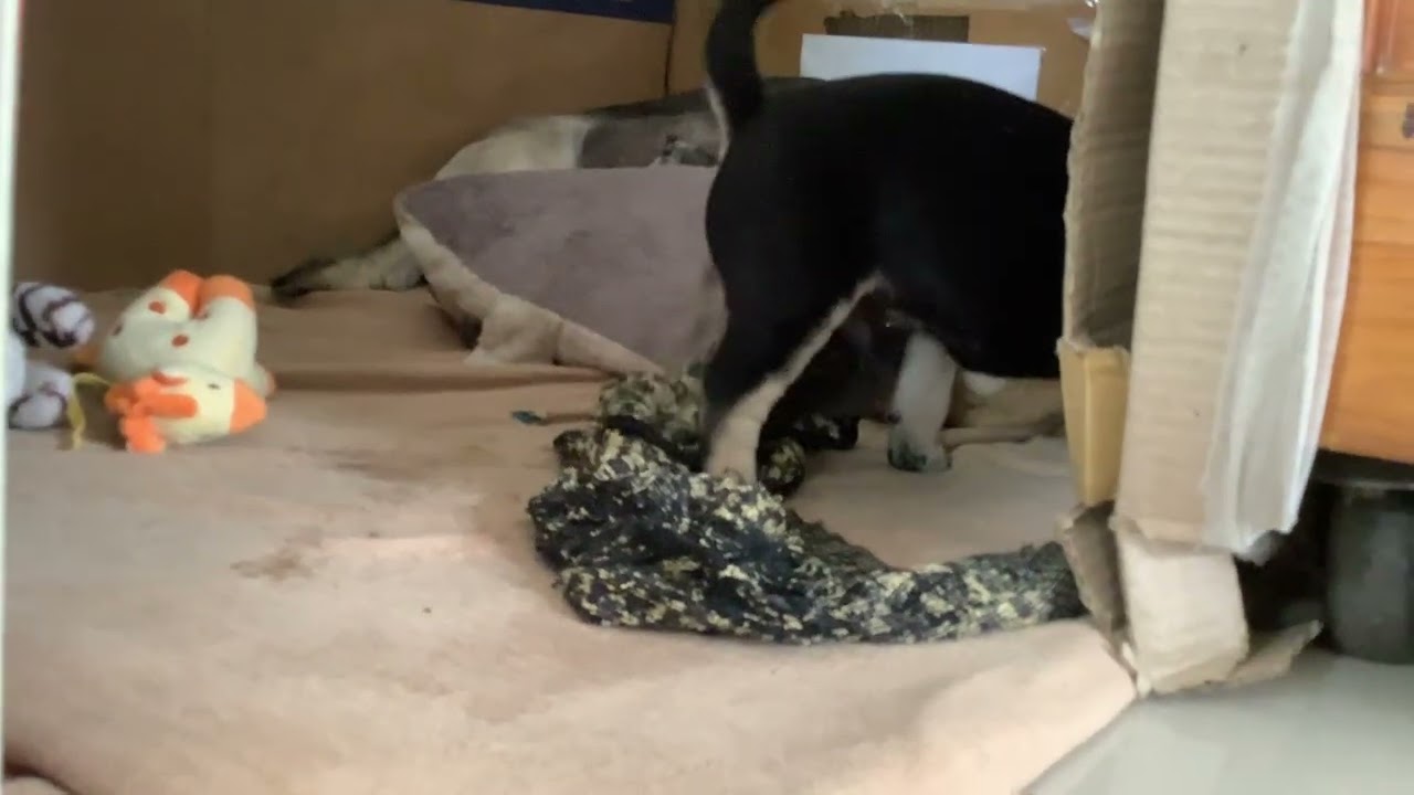 Ngày 13/02/2026 (4)