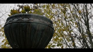 Rain ASMR Relaxation (10 minutes) by Soane Etu - Get Better Everyday 734 views 9 years ago 9 minutes, 28 seconds