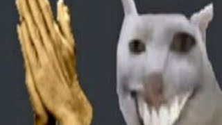 shitpostatus compilation
