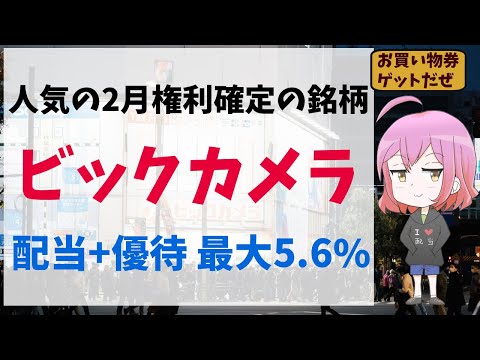 【2月権利確定】人気の株主優待銘柄 ～ 3048 ビックカメラ ～ #投資 #日本株 #日本株