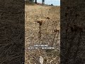 🌊✨ Розчарування 2025: поїхали на море, а зустріли "сонечка"! 🐞💔