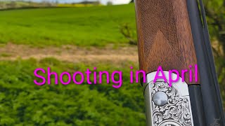 Shooting in April