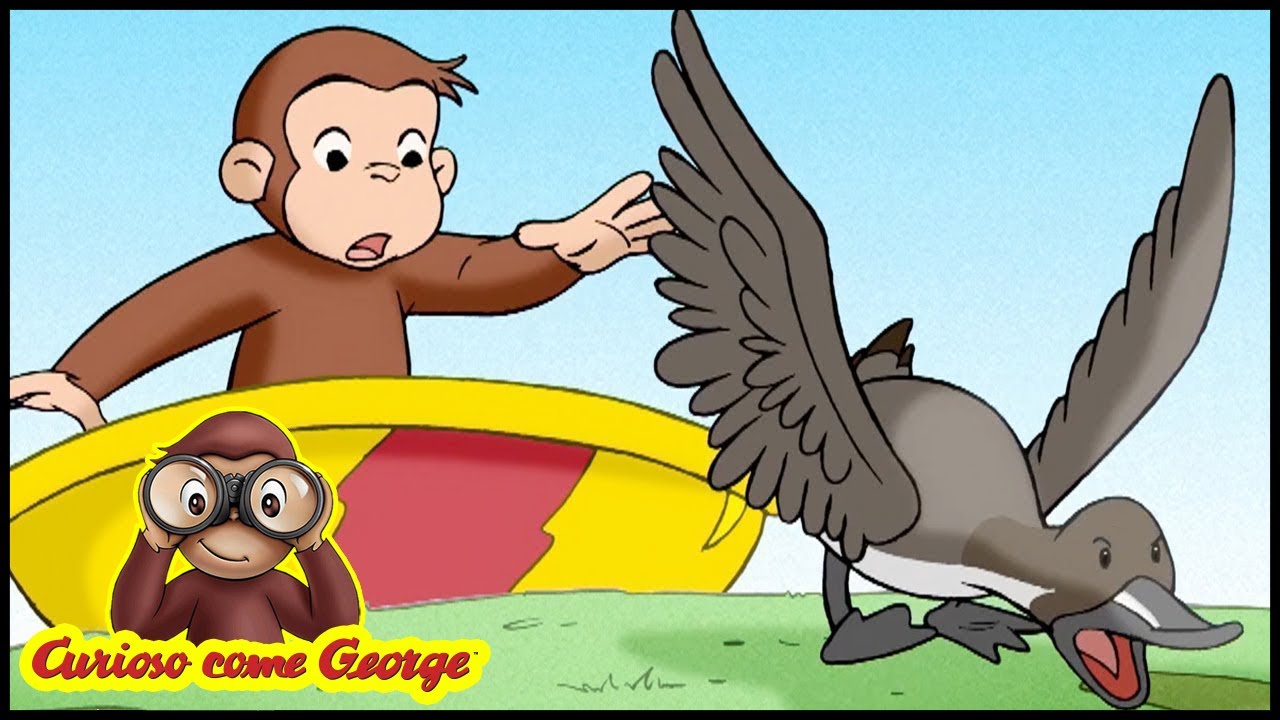 curioso come george episodi completi in italiano