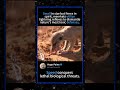 Small in size but fierce in spirit, meerkats utilize lightning reflexes to dismantle nature's most