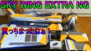 Download Lagu SKY WING EXTRA NG 買っちまったなぁ！ RC ラジコン 飛行機 3D機 MP3