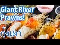 Giant River Prawns (กุ้งเผา) in Ayutthaya (Insane Delicious Alert)!