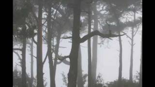 Beyond Divinity - Beyond Divinity OST
