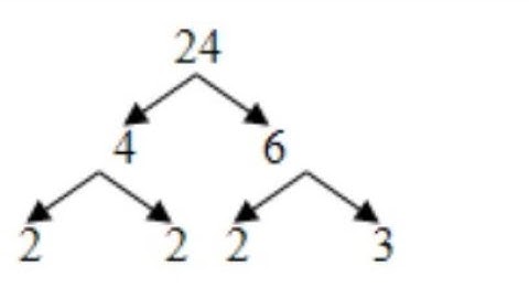 Factor Tree Of 24|Prime Factorization Of 24