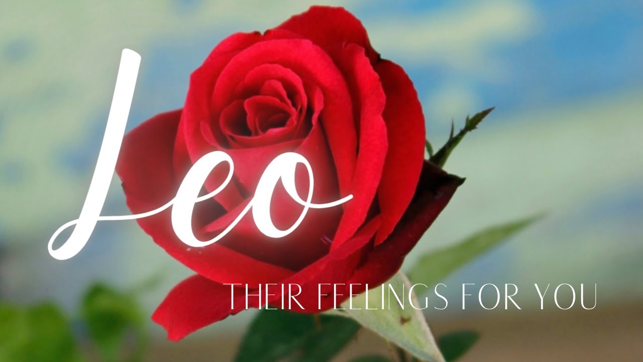 LEO LOVE TAROT TODAY - GETTING OVER THEIR EGO TO END THIS SEPARATION!!