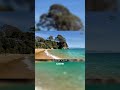 Discover Abel Tasman National Park Where golden beaches and turquoise waters meet lush forests. W