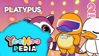 I’m Platypus, I have it all |  YooHoopedia  | YooHoo