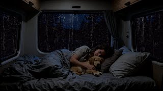 Heavy Rainstorm on Car Roof | Soothing Rain Noise for Deep Sleep & Peaceful Night