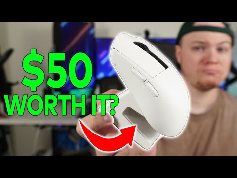 You Should (Probably) Buy This Mouse | Tecware EX1 Mouse Review