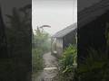 MEU RANCHO#sertanejo #vida #amor #viral