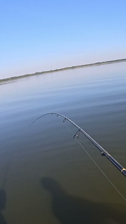 Мощная поклевка судака! Трофей #fishing #джиг #рыбалка #jig ! - YouTube