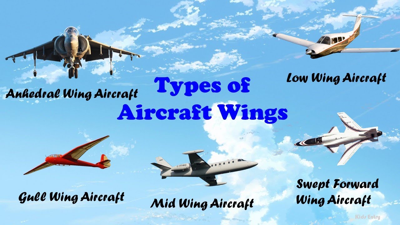 Aircraft Airframe