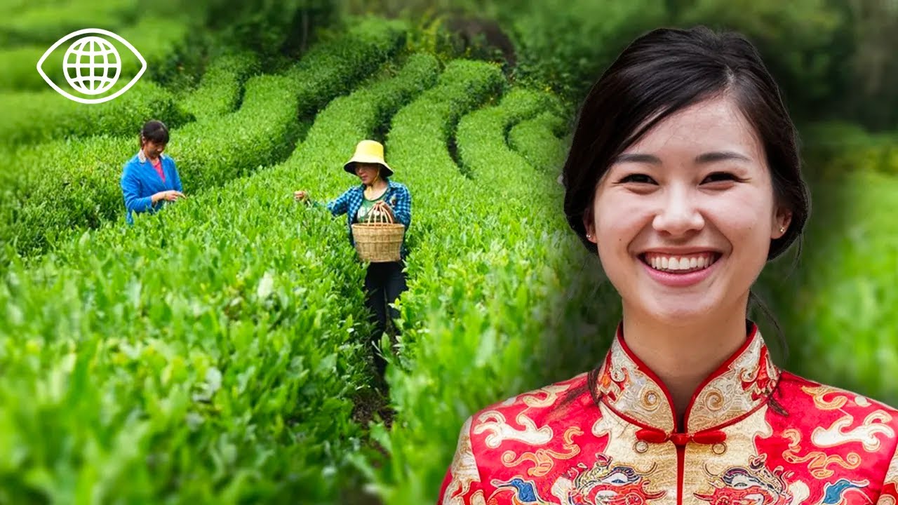 Путешествие в страну чая: наследственные знания и азиатские традиции - Мастера чая - AMP