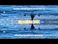 Che bello piove in pieno Agosto | Grazie a tutti 20K