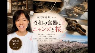 Renovating an Old House Vol. 14] Showa-era tableware, cats, and