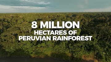 Amazon Carbon | Protecting the Peruvian Amazon with Carbon Credits