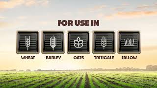 Infinity Ultra - The Herbicide That's Hard to Resist