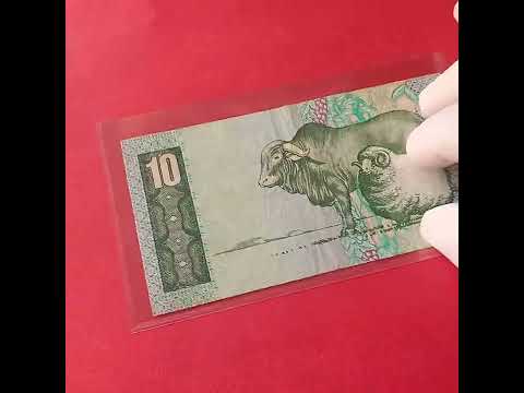 10     1985 10     1985 عملة جنوب أفريقيا لسنه ١٩٨٥