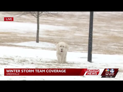 Wyff 4 News Greenville Sc