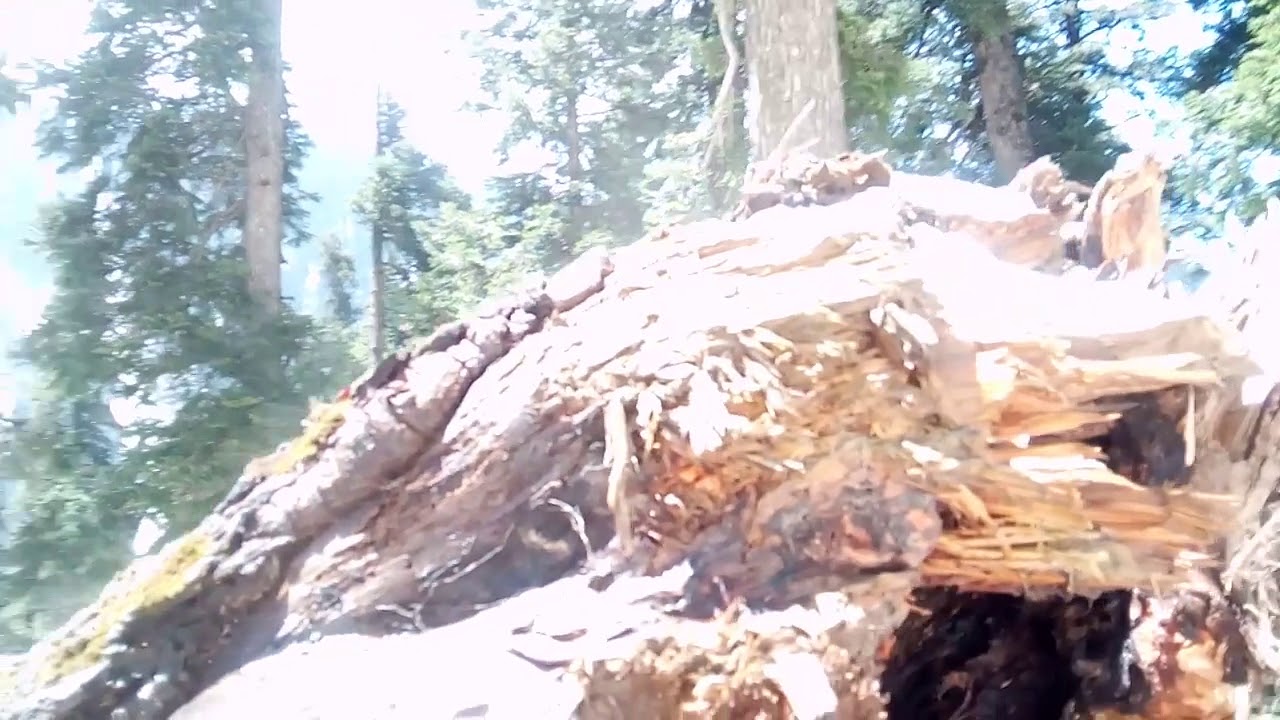 evaporating snow, Sinthan Pass, Daksum, Anantnag, Kashmir 22nd April 2018