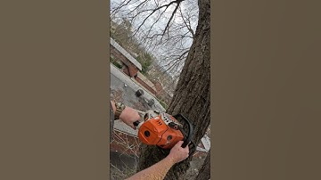 Crane Assisted Tree Removal