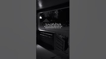 لا يسأم الإنسان من دعاء الخير | تلاوة للشيخ #ماهر_المعيقلي - حالات واتس اب دينية ـ سورة فصلت