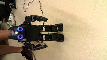 DARwin-OP programmed motions