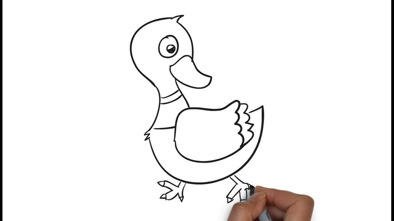 Easy Step For Kids How To Draw a Duck - YouTube