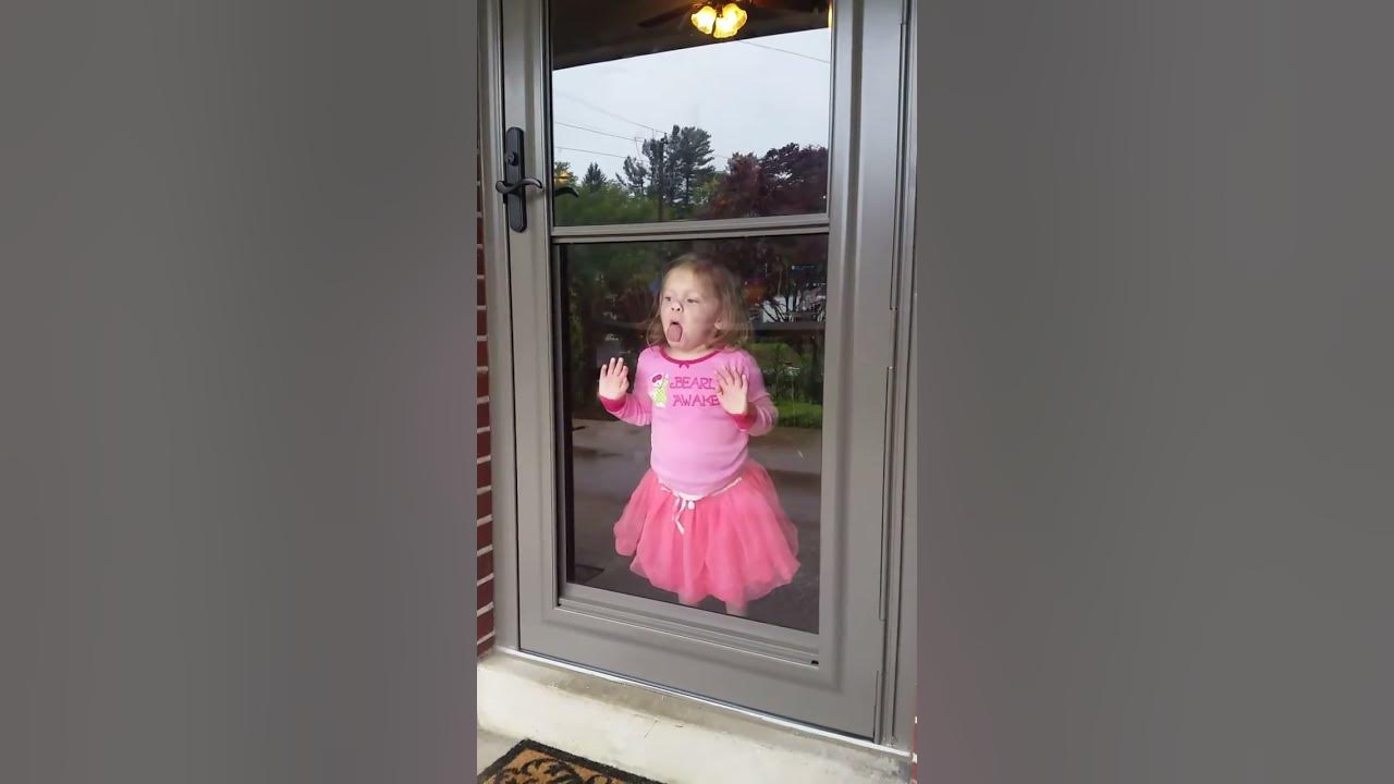 Window licker YouTube