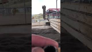 Bedding horse stalls with Sand
