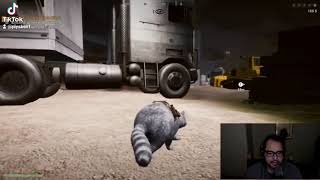 Wanted Raccoon no es como lo pensaba (gameplay)